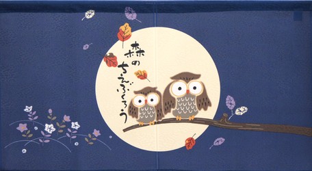 Noren Sovy Lesní moudrost 85x45 cm